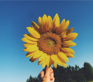 Meet your Posher, Ac